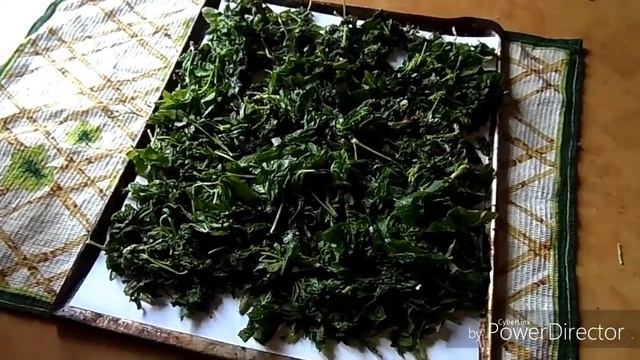 Ферментированный чай из листьев смородины. смотреть онлайн