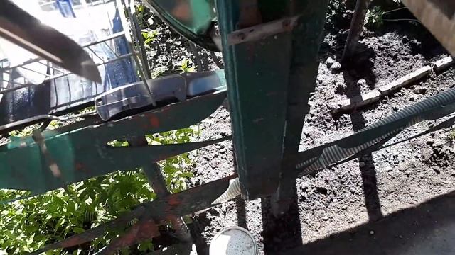 КАК ВЫРАСТИТЬ РОЗУ С ВЕТОЧКИ ПОД БУТЫЛКОЙ?? смотреть онлайн