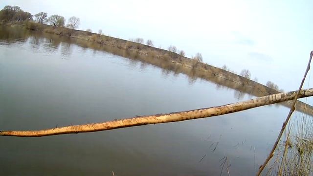Ловля сетями в нерест. Видимо кто то очень голодный. Свободу "Полосатым разбойникам". смотреть онлайн