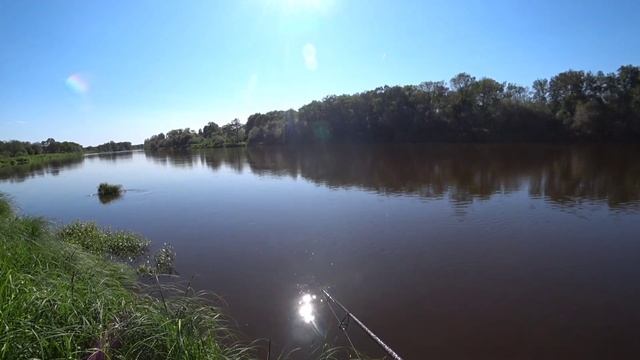 КУПИЛ БЛЕСНУ ЗА ПЯТЬДЕСЯТ РУБЛЕЙ И ПОЙМАЛ РЫБУ. ЛОВЛЯ ЖЕРЕХА НА РЕКЕ. смотреть онлайн