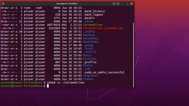 Selenium Python - Install Selenium, Chromedriver, Chrome on Ubuntu, Debian, Python - Part 1b смотреть онлайн