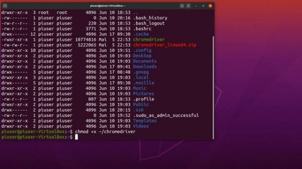 Selenium Python - Install Selenium, Chromedriver, Chrome on Ubuntu, Debian, Python - Part 1b