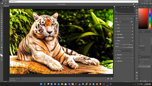 Ultimate Adobe Photoshop Training Beginner to Pro 2022 3 3. Detailed Image with Filters in Photosho смотреть онлайн