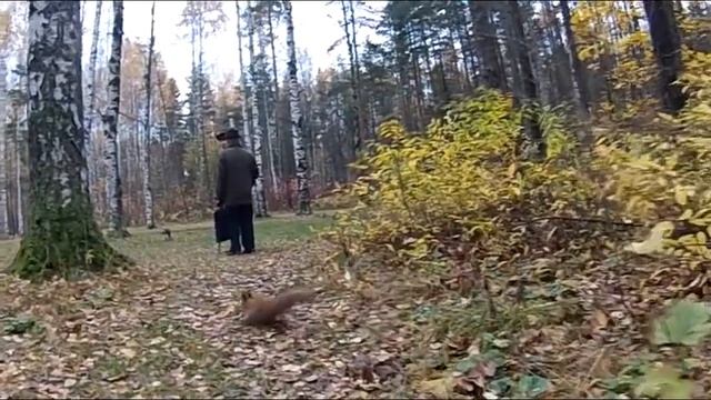 20.10.2012 Тест экшн-камеры Contour+2