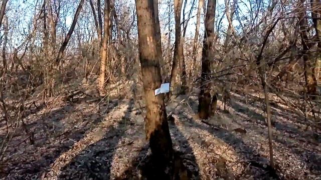 Вызвали слендермена в лесу.Вызов слендера. смотреть онлайн