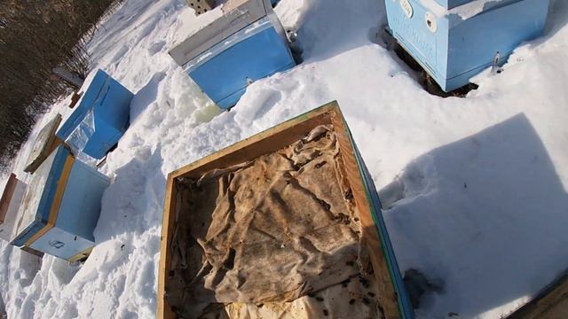 Пасека в феврале. смотреть онлайн