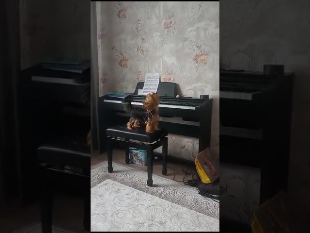 Моня поëт смотреть онлайн