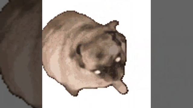 мопс танцует под песню blue Eiffel 65 дабуди дабудидабудайдабудидабудай смотреть онлайн