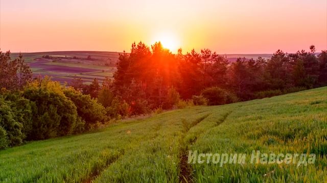 Мила нашла под кустом возле дома малышку. А спустя 5 лет, открыв дверь… смотреть онлайн