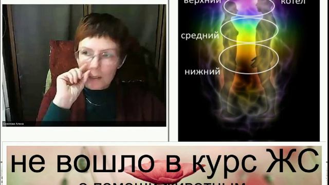 о том, как быть ведущим на примере животных смотреть онлайн