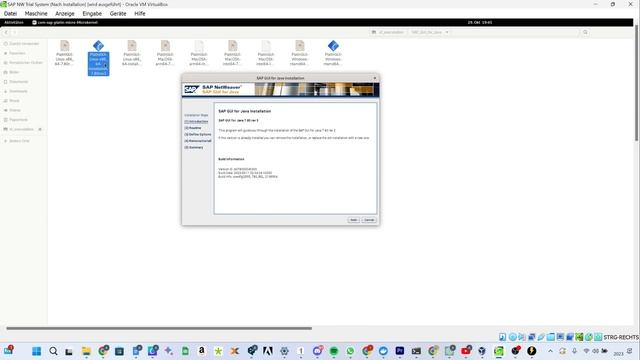 Install SAP Gui on MacOS or Linux | SAP Logon on Mac or Linux смотреть онлайн