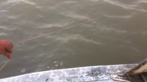 СНИМАЕМ СЕТИ. ХОД ЛЕЩА. Рыбалка сетями