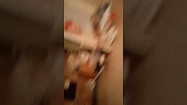 Обработка хрущёвки озоном, обнаружены клопы. смотреть онлайн