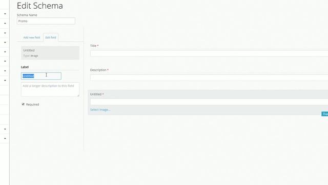 DirigoEdge CMS - Schema Builder смотреть онлайн