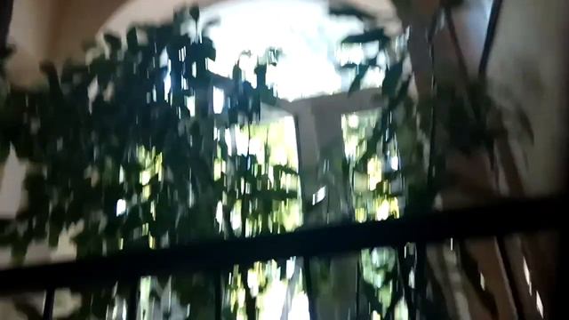 Вопрос разницы роста живших людей и высоты потолков в старом фонде. смотреть онлайн
