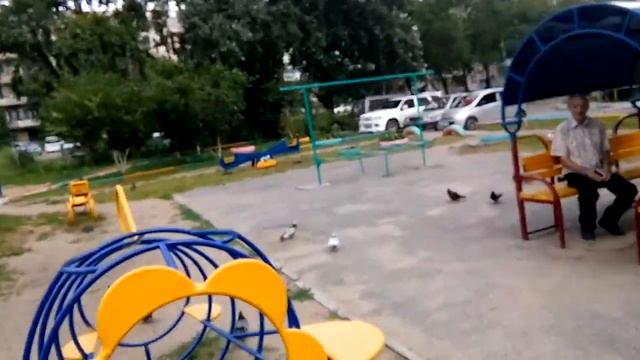 Дальний Восток Хабаровск Абрикосы смотреть онлайн