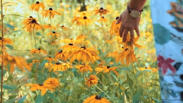 Chris Rea - Looking for the Summer.(tradus in română) смотреть онлайн
