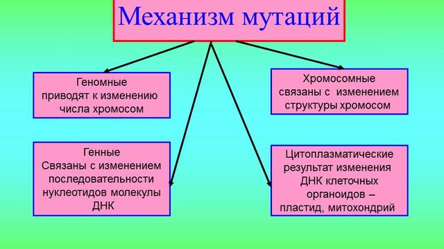 Наследственная изменчивость смотреть онлайн