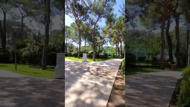 Nirvana Mediterranean Excellence 5* смотреть онлайн