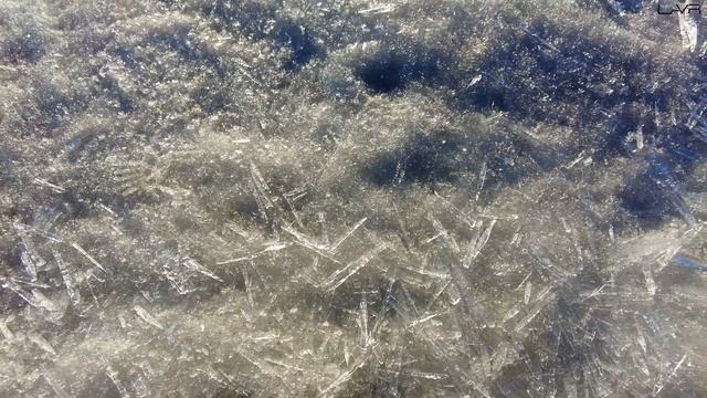 ВЕСЕННИЙ ПЛЯЖ ЗВЕЗДА НА БЕРЕГУ ОБСКОГО ВОДОХРАНИЛИЩА | ОБСКОЕ МОРЕ ЗИМОЙ | #новосибирск смотреть онлайн