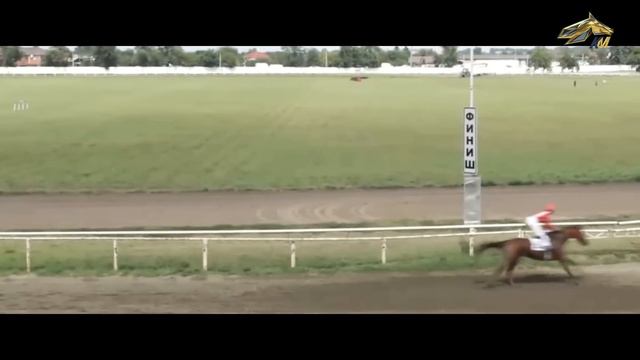 PRO_Лошадей. Ривер Мэджик. 24 марта 2024 года. 17:55