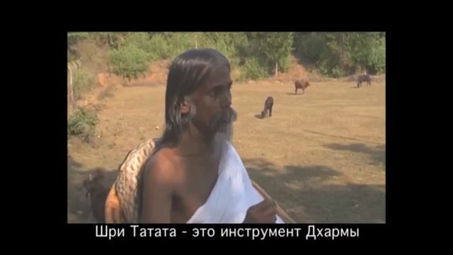 Шри Татхата говорит о себе. Интервью смотреть онлайн