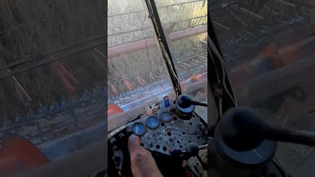 Derlius 2020. Niva ck5 su hidro vaziuokle смотреть онлайн