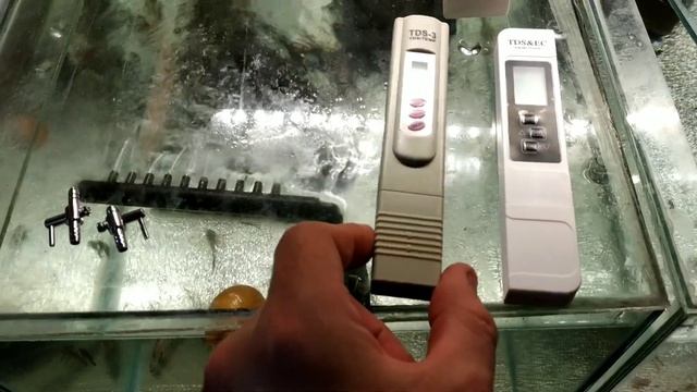 Наконец-то это случилось Меченосцы, лорикарии и посылка из Китая смотреть онлайн