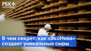 В чем секрет: как «ЭкоНива» создает уникальные сыры