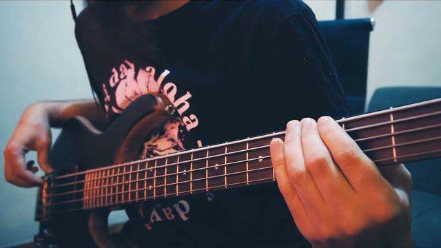 Opeth "Faith in Others" Bass cover смотреть онлайн