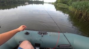 Учимся ловить окуня на вертушки. Окунь на вертушки