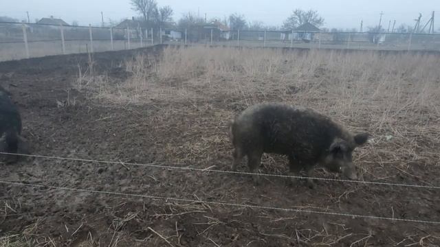 23 февраля 2022 г.Крымская жизнь! С праздником Защитника Отечества! смотреть онлайн