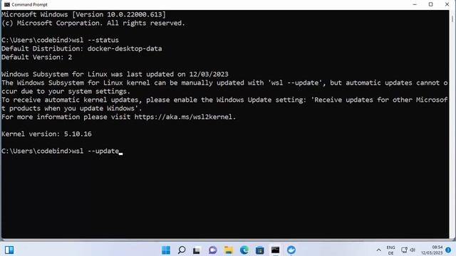 How to Install WSL2 on Windows 11 (Windows Subsystem for Linux) смотреть онлайн