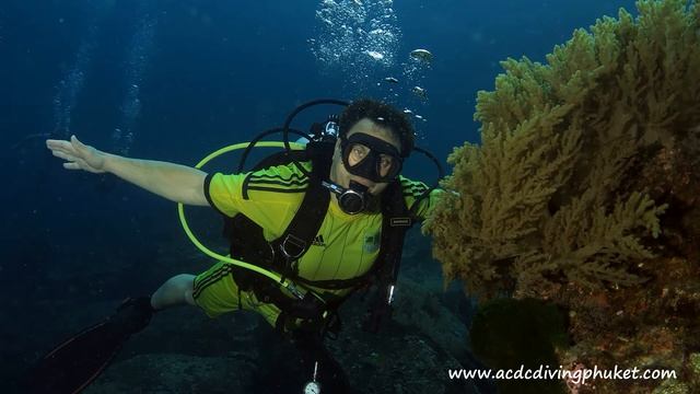 Дайвинг на Пхукете - остров Рача Ной - дайв-центр ACDC Diving смотреть онлайн