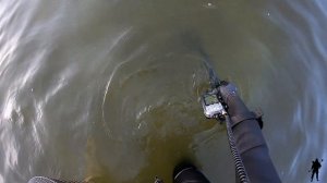 Подводный поиск. Поиск со скубом с металлоискателем Эквинокс 800.