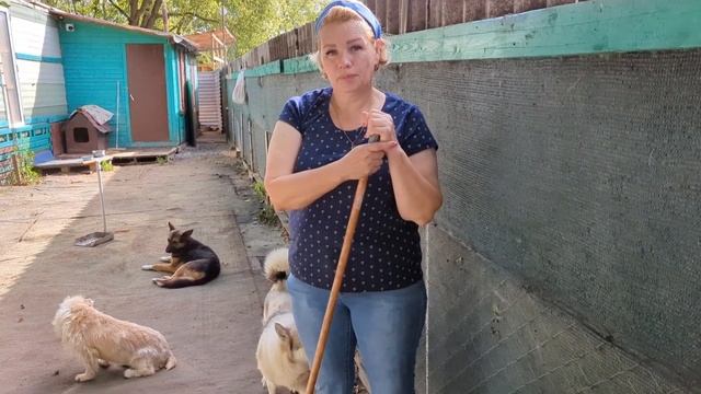 Злата и Шкода попали в клинику! Но сначала про любимых подписчиц! смотреть онлайн