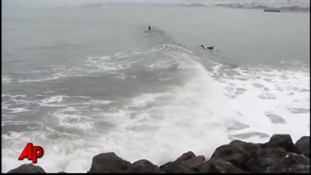 Teen Plunges Off Golden Gate Bridge, Lives смотреть онлайн