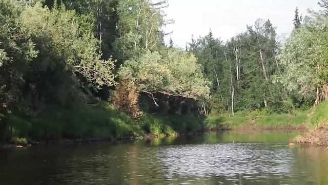Красноселькуп.Река Парусовая, правый приток реки Таз. смотреть онлайн