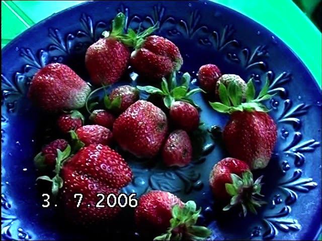 Воейково. 18.06.2006. День всех Святых. Жанна, Вета, Татьяна, Галя, Саша. смотреть онлайн