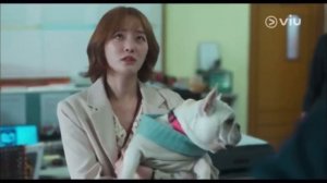 Отличный день, чтобы стать собакой. 3 - серия