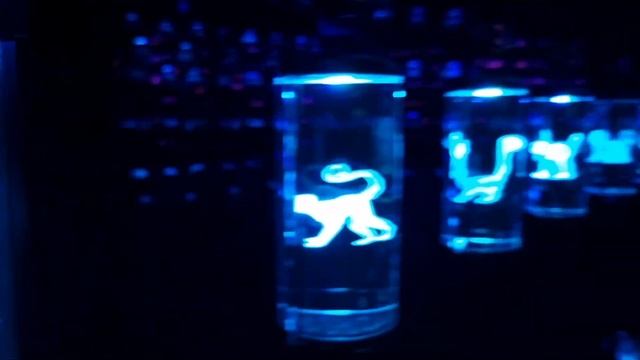 Dubai. Museum of the future . Дубай. Музей будущего. смотреть онлайн