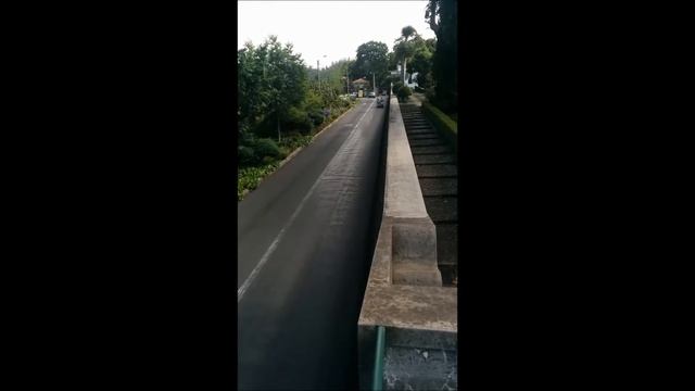 Традиция Мадейры -катание на санях. 1 смотреть онлайн