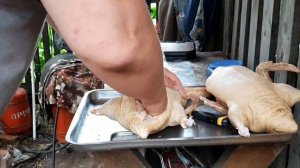 Забой утки Стар 53 в 45 дней