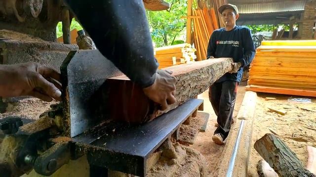 Sawmill Log Mahoni !! Mahogany Java #mahoni #sawmill #woodworking смотреть онлайн
