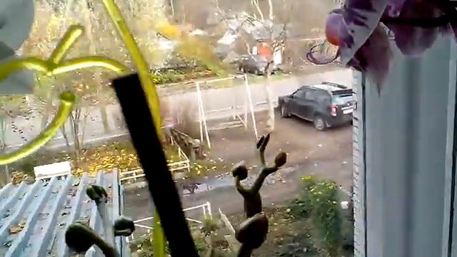 мои орхидеи смотреть онлайн