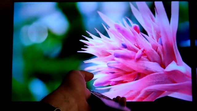 Я купил себе ТЕСЛУ! Телевизор TESLA 65S906BUS смотреть онлайн