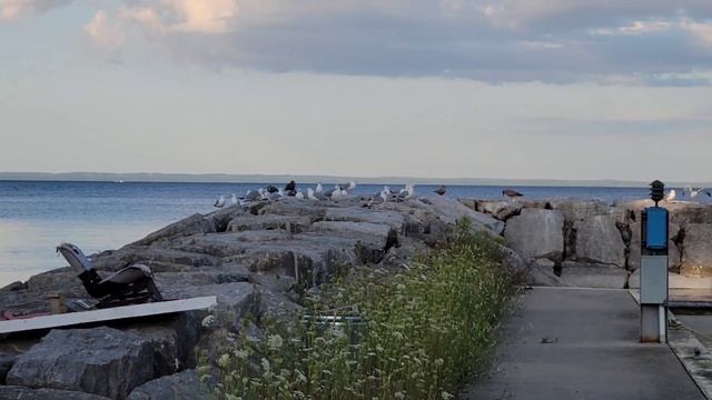 ПОЕЗДКА К КОРЕННЫМ ИНДЕЙЦАМ ЗА РЫБОЙ ФОРЕЛЬ смотреть онлайн