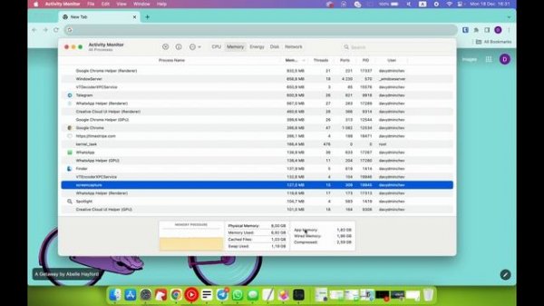 How to Master Mac OS Sonoma Activity Monitor: Tips and Tricks Guide