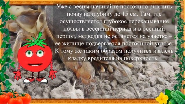 РАСПЫЛИТЕ ЭТО И ВЫ БОЛЬШЕ НЕ УВИДИТЕ... смотреть онлайн