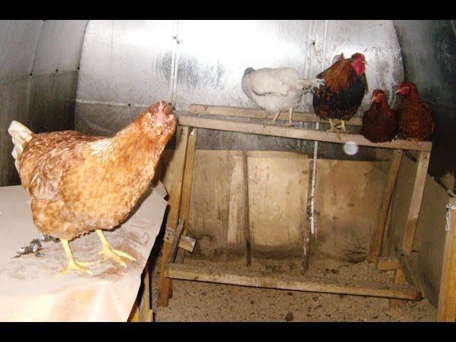 2018, каким он был для нас смотреть онлайн